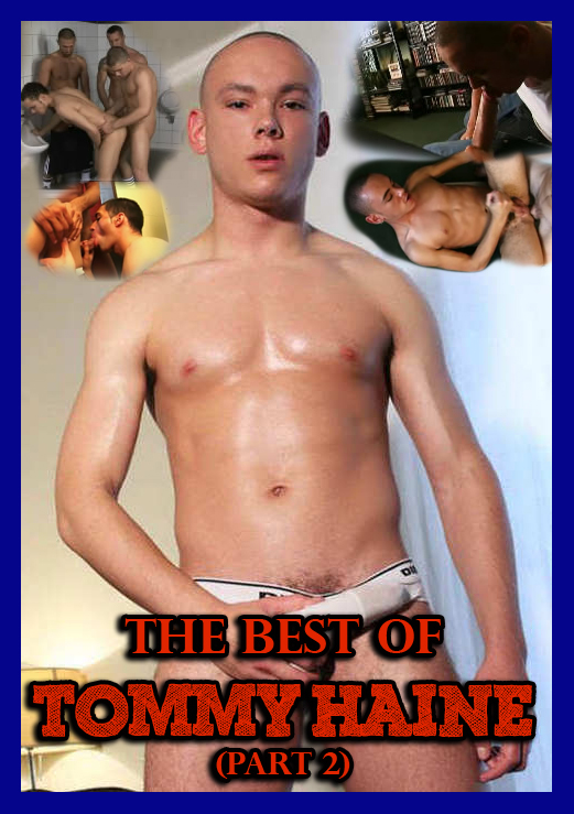 The Best Of Tommy Haine  / Лучшее с Томми Хэйном