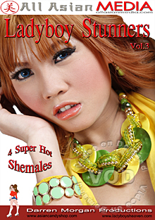 LadyBoy Stunners Vol. 3 / Потрясающие ледибой 3