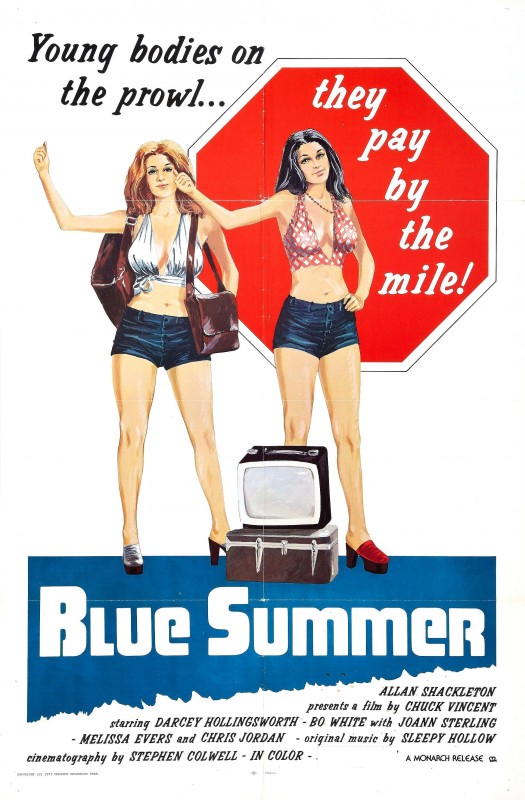 Blue summer / Лето желаний