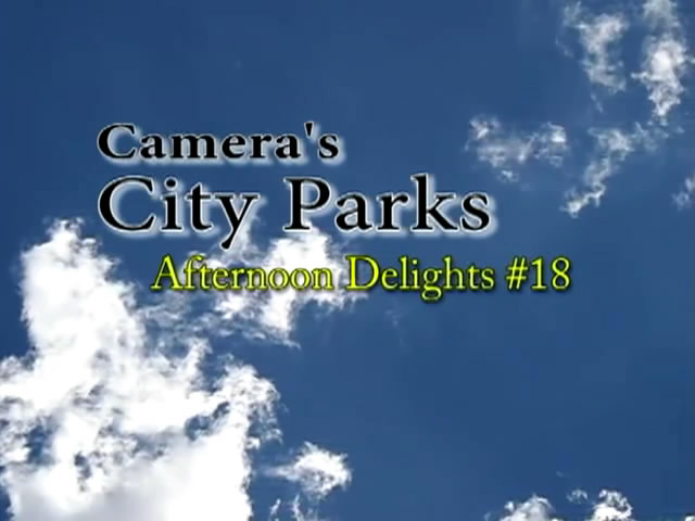Camera s City Parks: Afternoon Delights 18