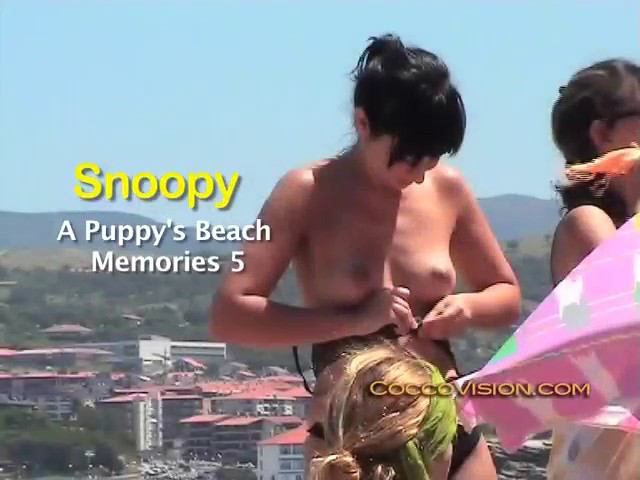 Snoopy`s A Puppy`s Beach Memories 5