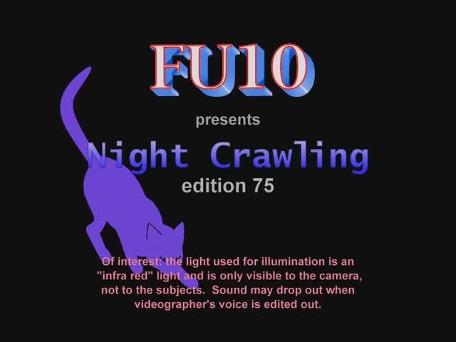 FU10 Night Crawling # 75